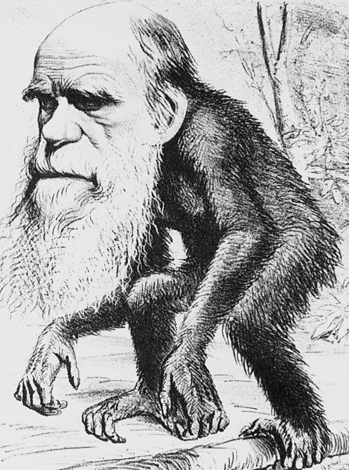the story of charles darwin